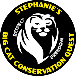 Stephanie's Big Cat Conservation Quest